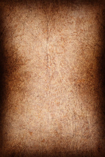 Pergamino de piel de animal antiguo de alta resolución, grano grueso, magullado, muestra de textura grunge de viñeta
. - Foto, Imagen