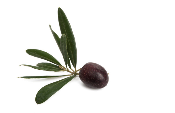 черные оливки с листьями на белом фоне
 - Фото, изображение