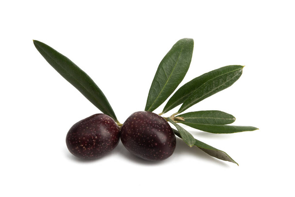 schwarze Oliven mit Blatt isoliert auf weißem Hintergrund - Foto, Bild