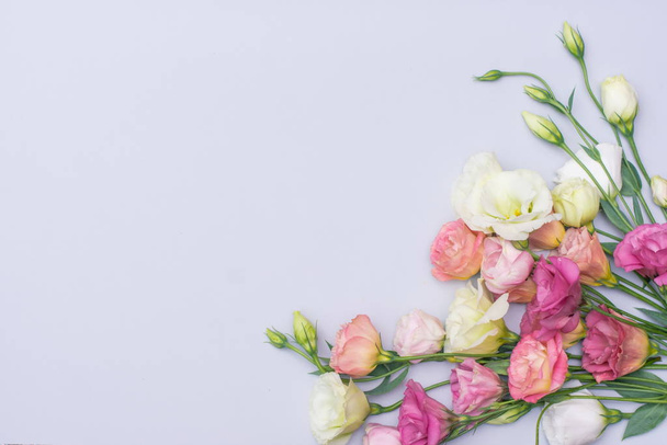 Απαλά λευκά και ροζ άνθη ευστώματος σε γκρι φόντο, επίπεδο lay, κορυφαία άποψη - Φωτογραφία, εικόνα