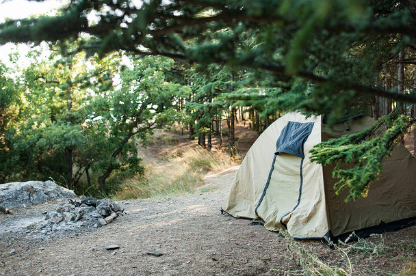 森の中のカーキ・テント。森の中の野生の休息。森の中でキャンプし - 写真・画像