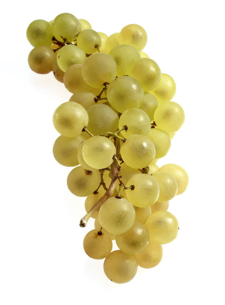 Chasselas White Grape, vitis vinifera, Fruit against White Background  - Foto, Bild