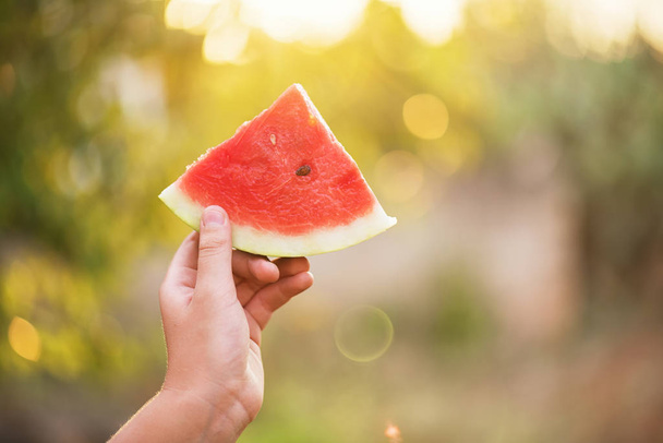 The boy holds a piece of watermelon in his hand and holds it out, selective focus, lens effect. Summer concept, fresh watermelons are making people feeling fresh and happy - Photo, Image