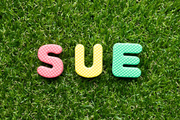 Toy foam letter in word sue on green grass background - Photo, Image