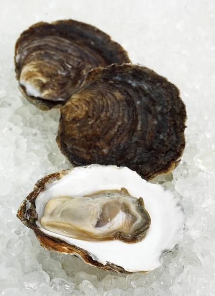 a French Oyster called Plate de Belon, ostrea edulis, Seafoods on Ice   - Photo, Image