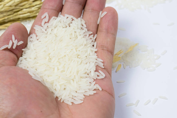 Vista superior Arroz en la mano humana puesto en la oreja de arroz. Salud o concepto saludable. Comida e ingrediente de cocina. Copiar espacio
. - Foto, imagen