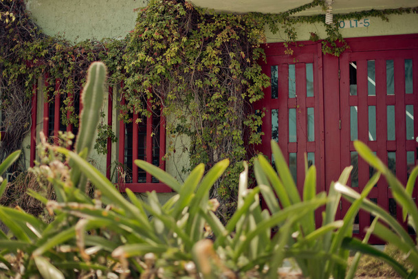 Puerto Morelos, Riviera Maya, Meksika Bu orijinal kıyı balıkçı köyü şimdi sakin, karışık kullanım alanları olan özel evler, birkaç otel, güzel bitki örtüsü, barlar, apartmanlar, restoranlar ve güzel Karayip turkuvaz plajı. - Fotoğraf, Görsel