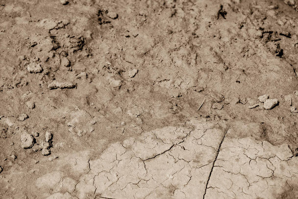 Текстура сухого грунта на фоне - Фото, изображение