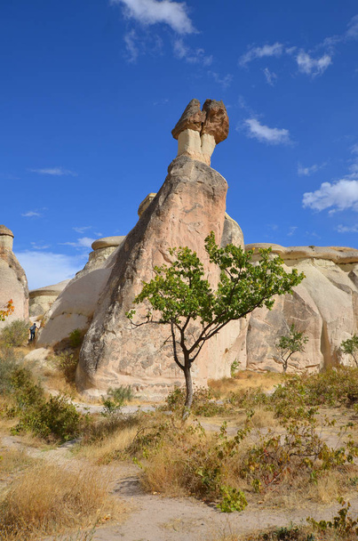 Probably the best known feature of Cappadocia, Turkey found in its very heart, are the fairy chimneys of Goreme and its surrounding villages - Фото, зображення