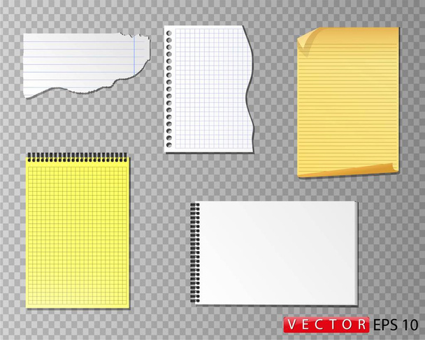 Papír különböző formátumú és színű, szakadt papír készlet 4 típusú papírt. Vektor. 10. rész - Vektor, kép