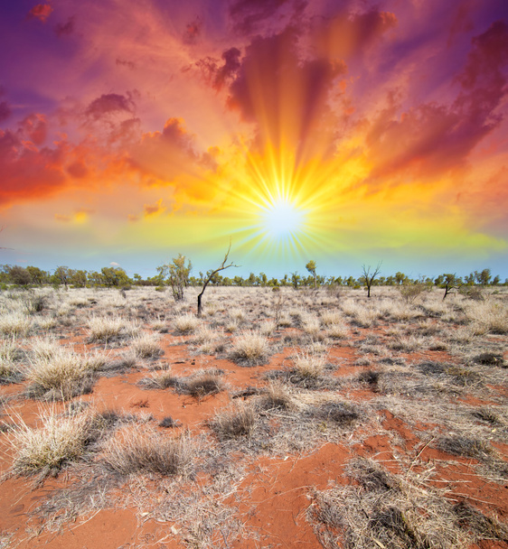 オーストラリア、アウトバックの風景。地球と空の美しい色 - 写真・画像