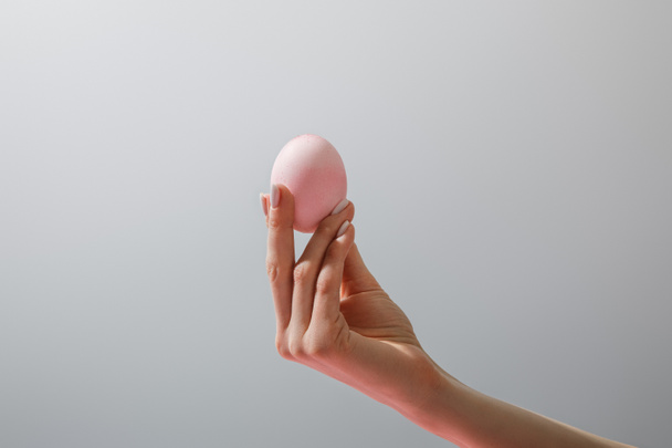 Cropped view of woman holding chicken egg isolated on grey  - Photo, Image