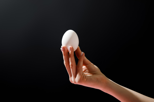 Обрезанный вид женщины, держащей куриное яйцо изолирован на черном
  - Фото, изображение