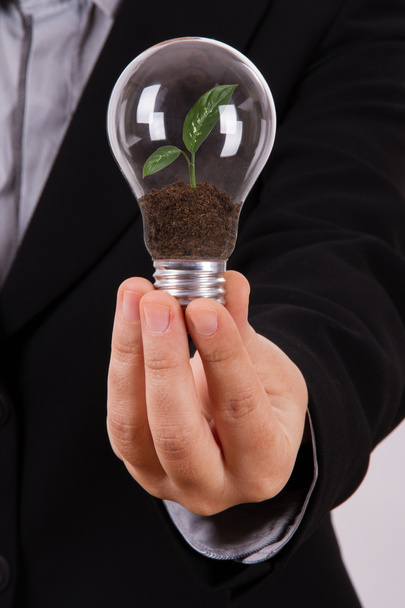 Business Woman Holding Light Bulb with Growing Plant - Photo, Image