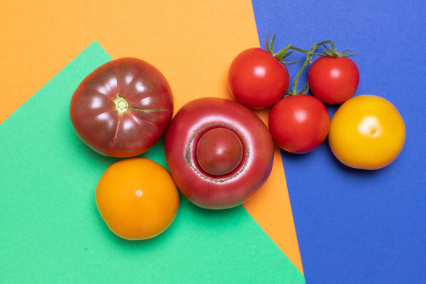 healthy and organic tomatoes of different colors on green, orange and blue background - 写真・画像