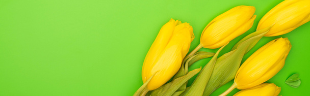Panoramische opname van gele tulpen en decoratief hart op groen, voorjaarsconcept - Foto, afbeelding