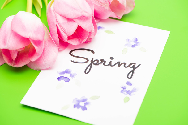 Close up of pink tulips and card with spring lettering on green background - Fotoğraf, Görsel