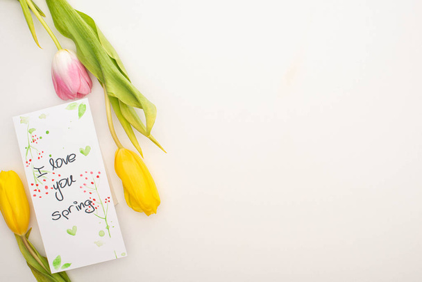Κάτοψη τουλίπας και κάρτας με το "I love you spring lettering" σε λευκό φόντο - Φωτογραφία, εικόνα