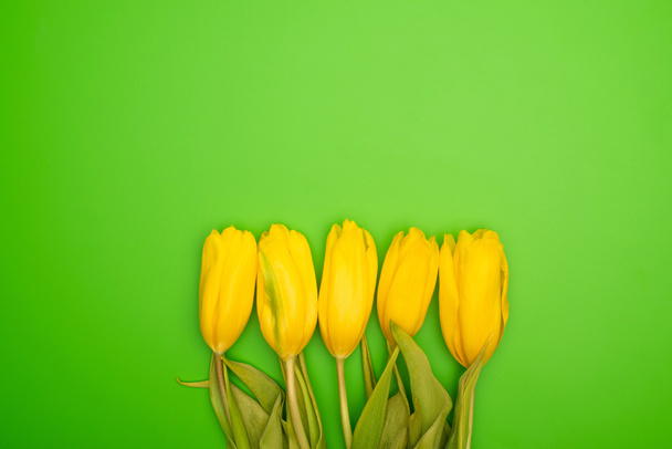 Flat lay with yellow tulips on green background, spring concept  - Photo, Image