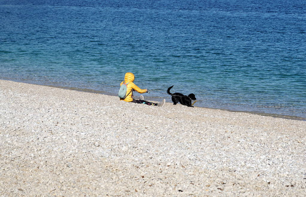 Moscenicka Draga, Croácia, 16 de fevereiro de 2020. Menina em casaco amarelo brincando com cão preto na bela praia de seixos pelo mar ondulado azul em dias de inverno ensolarados
 - Foto, Imagem