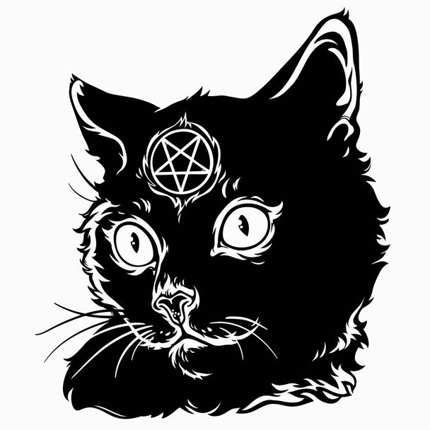 gato mágico negro con un pentagrama - Vector, imagen