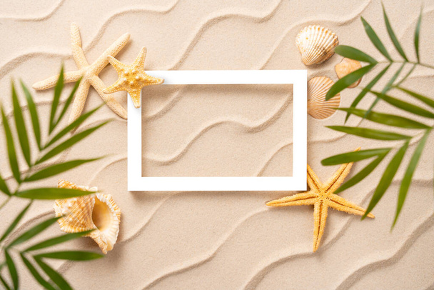 Frame summer background, Sand shells Seastar with blurred Palm, vacation and travel concept, Flat lay top view copy space, minimal exotic concept - Φωτογραφία, εικόνα