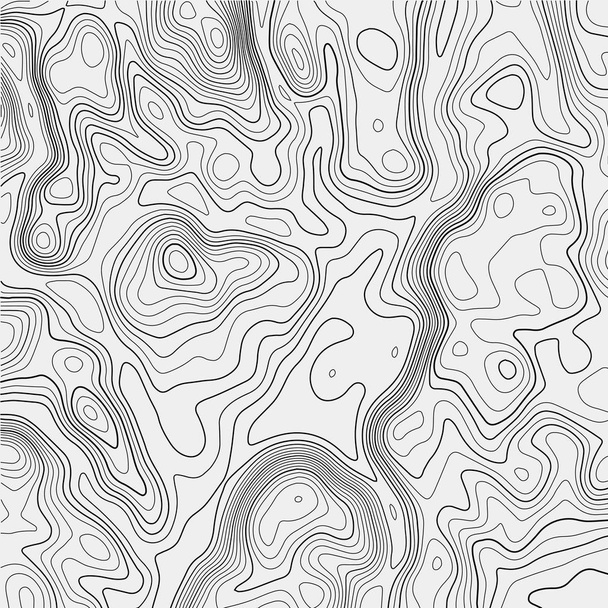 Topographic map on white background. Vector grid map. - Vector, Image