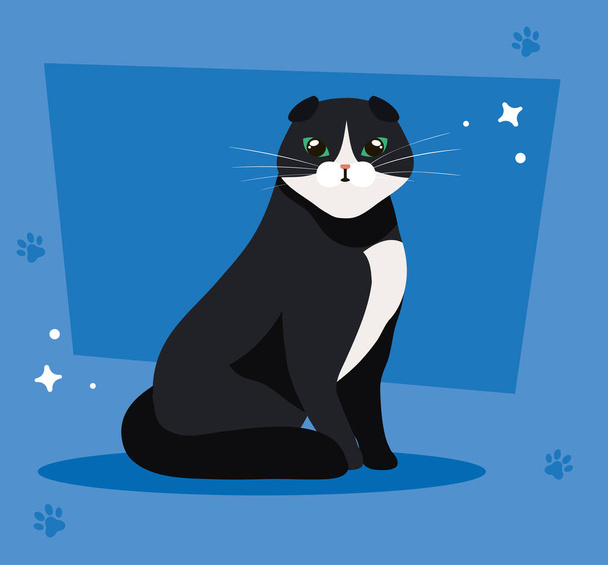 lindo gato negro y blanco en fondo azul con huellas
 - Vector, Imagen