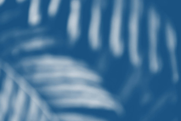Classica foglia di palma tropicale natura blu con sfondo astratto bokeh. Copia spazio di sfocatura classica foglia di palma blu. Ecologia e concetto ambientale. Concentratevi. Ricevuto. Sfondo naturale sfocato
 - Foto, immagini