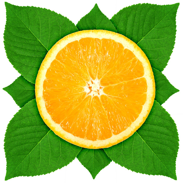 Single cross section of orange with green leaf - 写真・画像