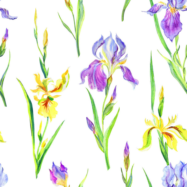 Seamless pattern of purple and yellow irises on white background, hand-drawing, print for fabric, floral background for various designs. - Foto, afbeelding
