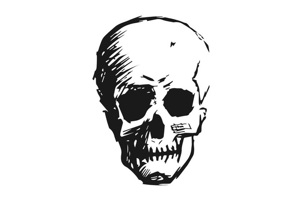 Cráneo humano blanco y negro con mandíbula inferior
. - Vector, imagen