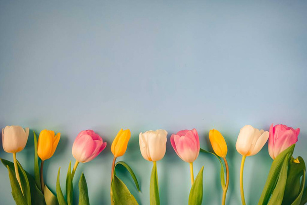 Fondo de Pascua con tulipanes
 - Foto, Imagen