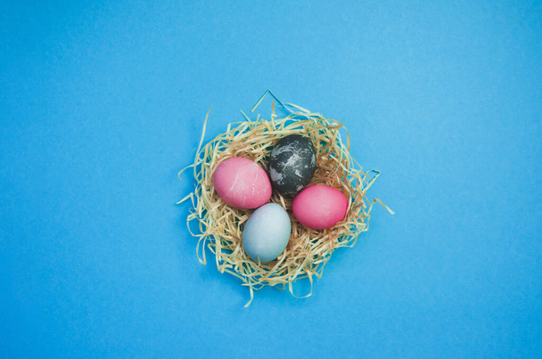 Line of Easter eggs and nestle with colorful eggs on blue background - Foto, imagen