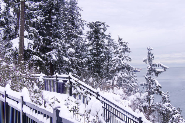 View of Prospect Point Lookout in Stanley Park. Snowfall and extreme Cold weather in Vancouver. - Photo, Image