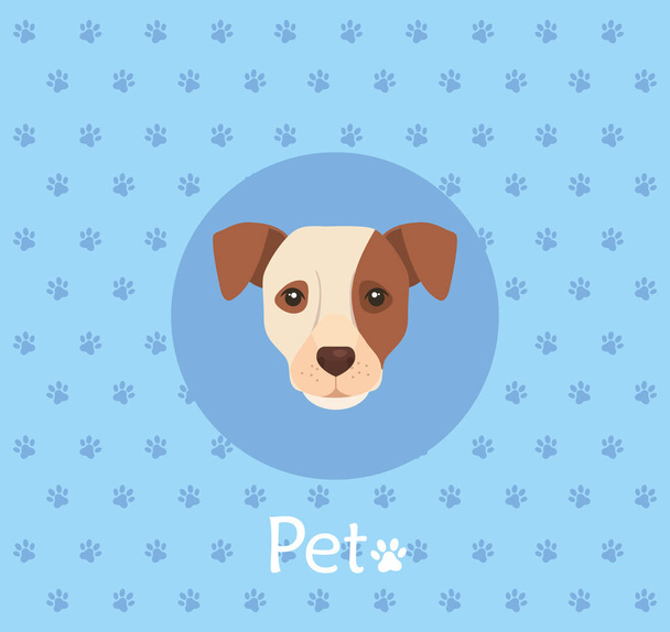face of white dog with brown spot in background with pawprints - Vector, Image