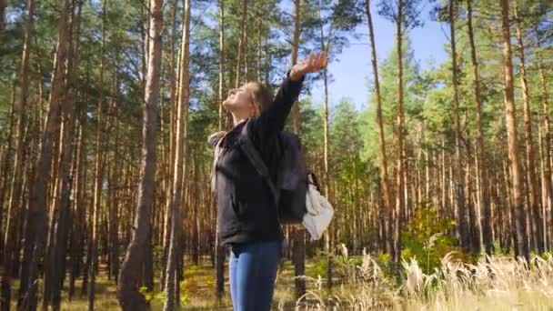 4k video onnellinen hymyilevä nainen venyttely kädet ja nauttia aurinkoinen päivä metsässä, kun vaellus ja matkustaminen
 - Materiaali, video