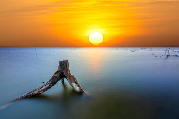 Lakeside auringonlasku kuivilla oksilla kohti aurinkoa jotain abstraktia elämässä
 - Valokuva, kuva