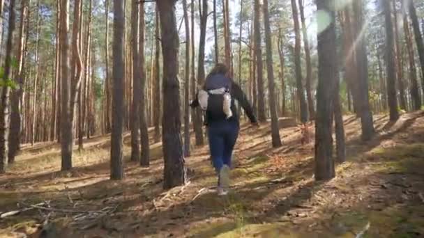 Vídeo en cámara lenta de 4k de una excursionista huyendo de la cámara entre árboles altos. Mujer escapando de la situación de peligro en el bosque
 - Metraje, vídeo