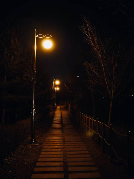 Korejské noční ulice a pouliční lampy - Fotografie, Obrázek