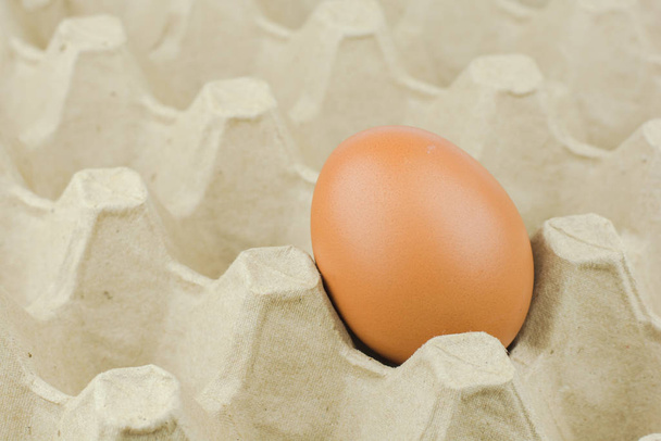 Kağıt yumurta tepsi arka plan - Fotoğraf, Görsel