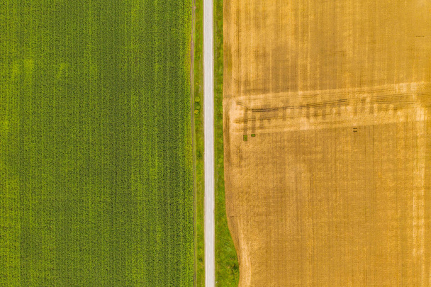 Aerial top view drone photography of a land with sown green fields in countryside. - 写真・画像