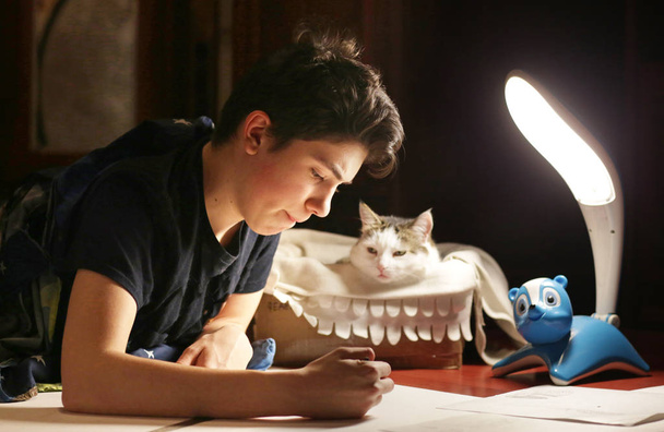 adolescente ragazzo architetto studente che lavora alla stesura del progetto di notte con gatto in scatola accanto
 - Foto, immagini