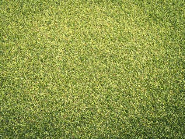 Closeup view of green grass soccer field background. Wallpaper for work and design. - Photo, Image