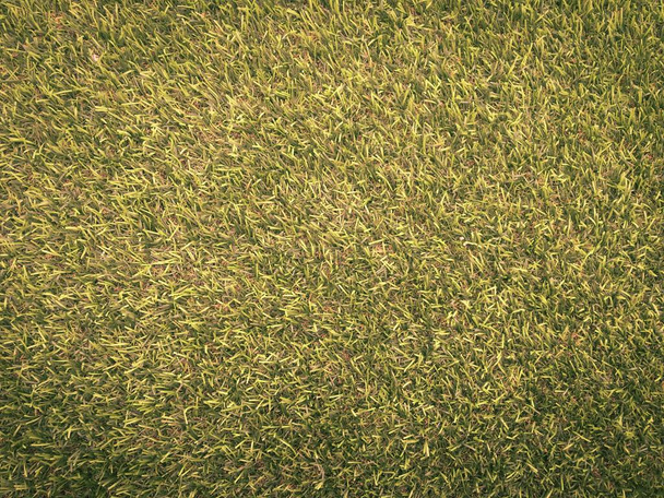 Lähikuva näkymä vihreä ruoho jalkapallokenttä tausta. Taustakuva työ ja suunnittelu
. - Valokuva, kuva
