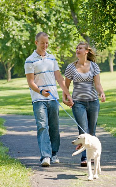 Joven pareja paseando perro
 - Foto, imagen