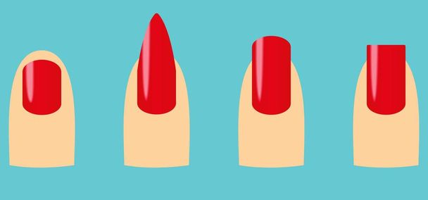 Four nail shapes : oval, square, stiletto, squoval - Vector, Image