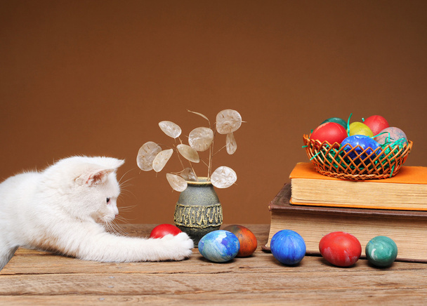 Chat blanc et œufs colorés
 - Photo, image