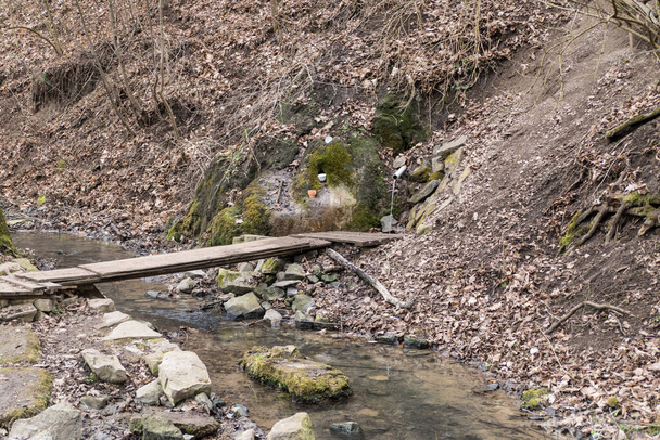 маленький колодязь поруч з лісовим струмком з чистою водою
 - Фото, зображення