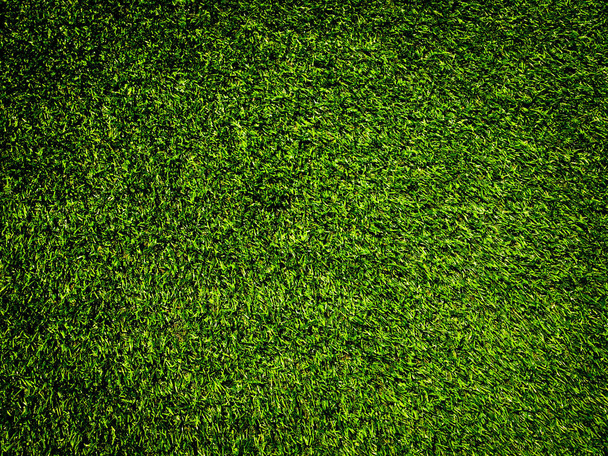 Green grass texture use as natural background. Wallpaper for design artwork - Foto, imagen